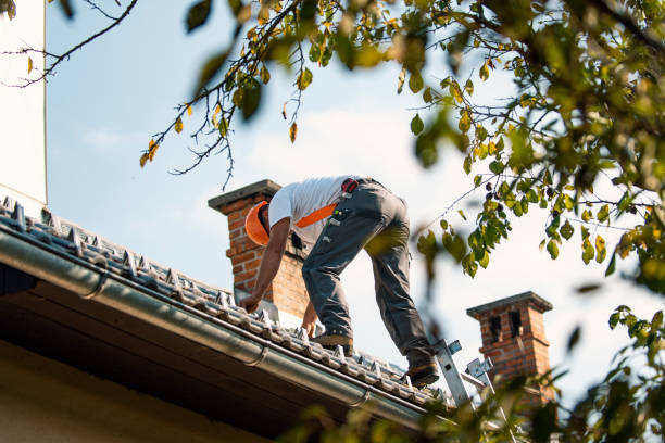 Best Roof Maintenance Services  in Perry, OH